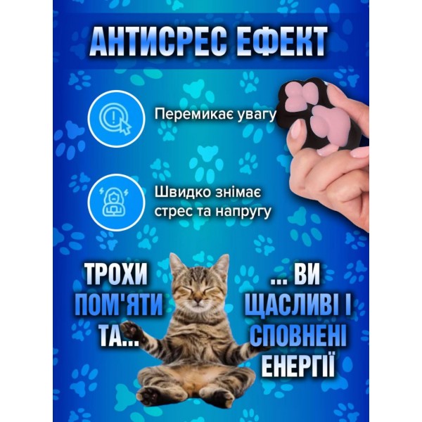 Іграшка-антистерес Squishy Сквіші Таба Лапка Котика 6 см